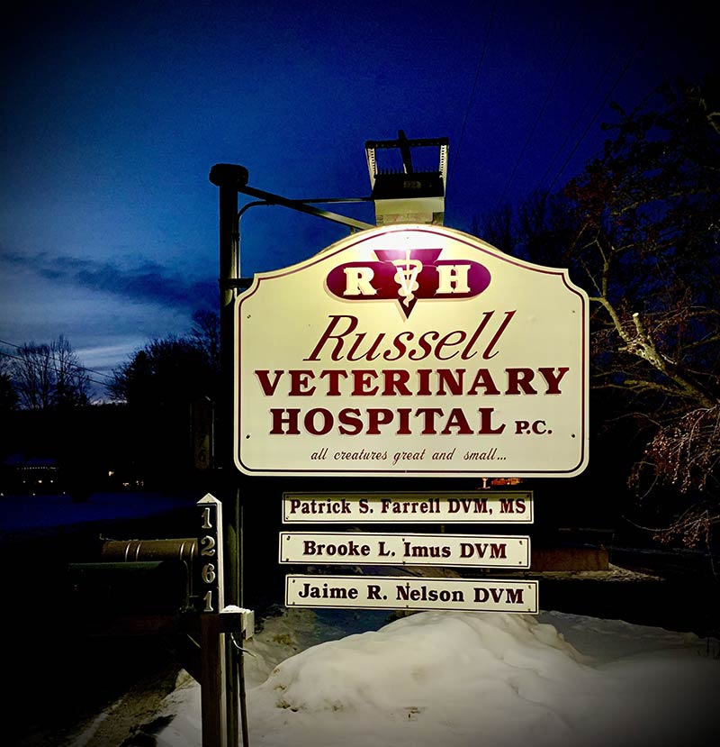 Russell vets