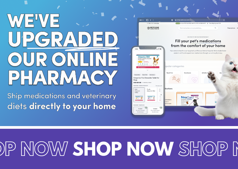 Carousel Slide 1: Visit Our Online Pharmacy